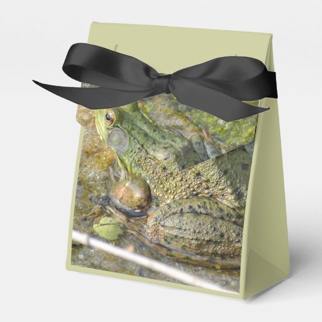 Caja Para Regalos Niños de la fiesta de cumpleaños de la rana Animal (Front Side)