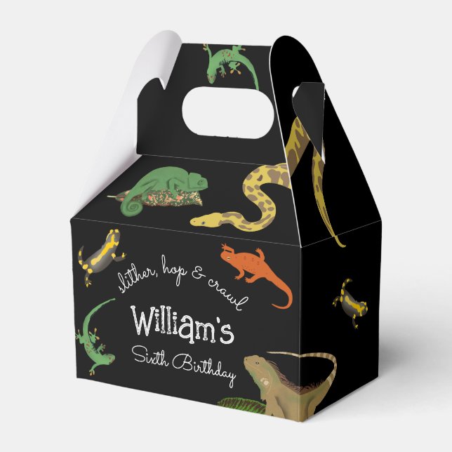 Caja Para Regalos Niños Reptiles, Lizards y Anfibios Cumpleaños (Front Side)