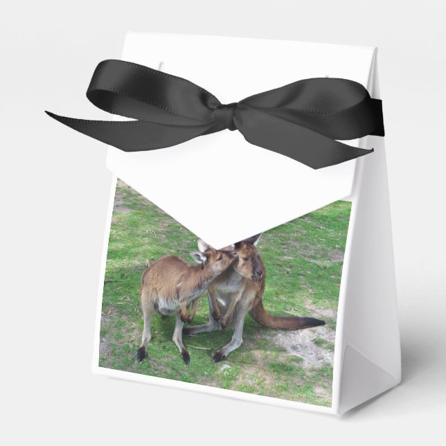 Caja Para Regalos No es ahora Skippy (Front Side)