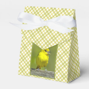 Caja Para Regalos Orchard Oriole - Foto original