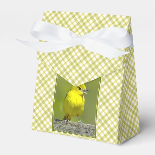 Caja Para Regalos Orchard Oriole - Foto original (Front Side)