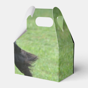 Caja Para Regalos Organismo de Gordon lindo