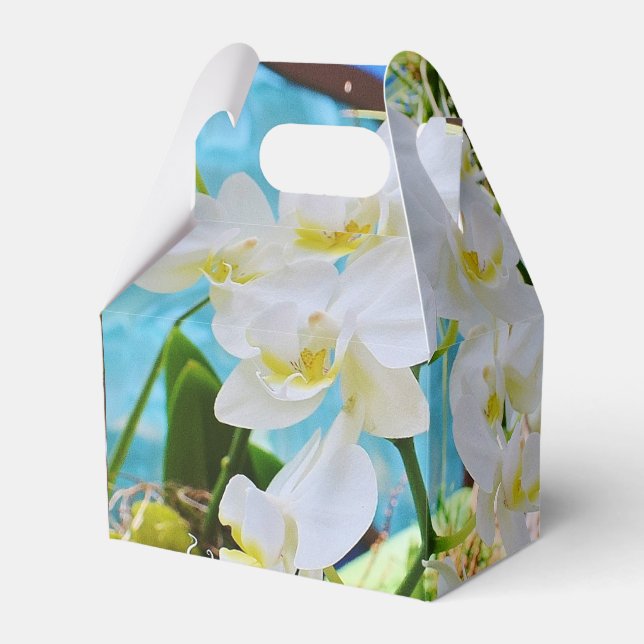 Caja Para Regalos Orquídeas Blancas (Front Side)