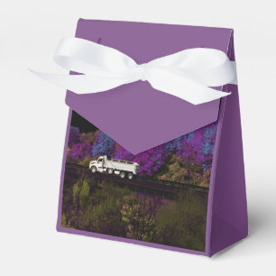 Caja Para Regalos oscar sale del fiesta