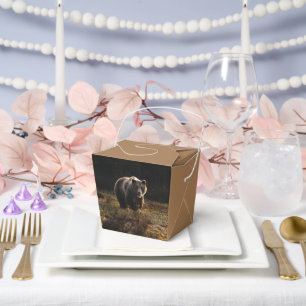 Caja Para Regalos Oso