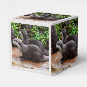 Caja Para Regalos **"Paciencia por el agua: Dos pequeñas nutrias gri