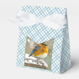 Caja Para Regalos Pájaro azul oriental en nieve - Fotografía origina