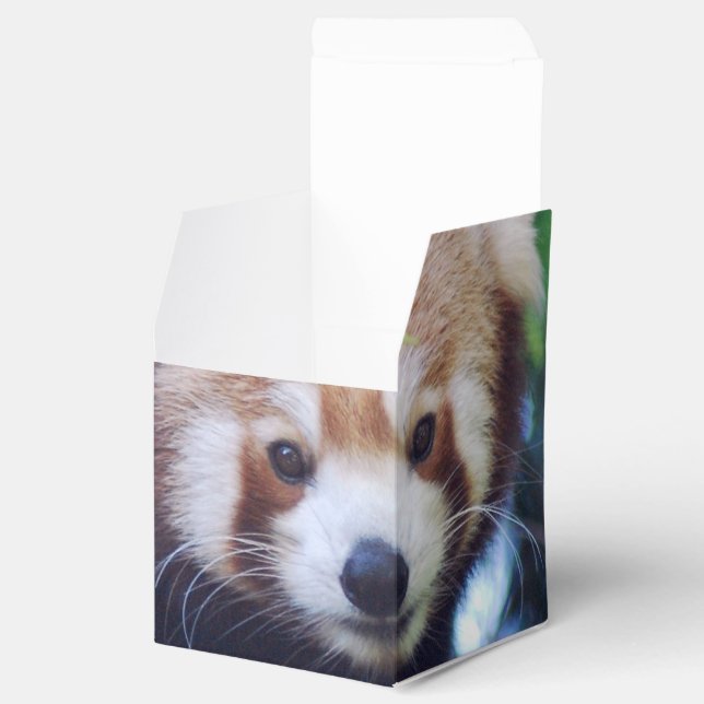 Caja Para Regalos Panda rojo (Abierto)