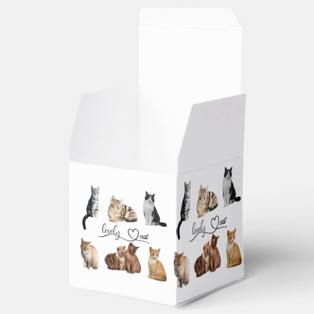 Caja Para Regalos paquete de gatos, paquete de gatos divertidos (Abierto)