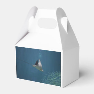 Caja Para Regalos Pastinaca asombrosa