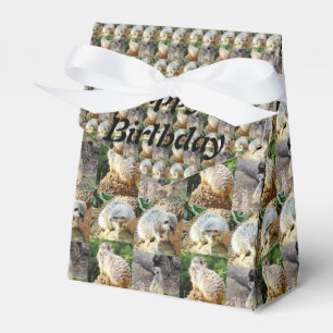 Caja Para Regalos Patrón de cuatro Meerkats,