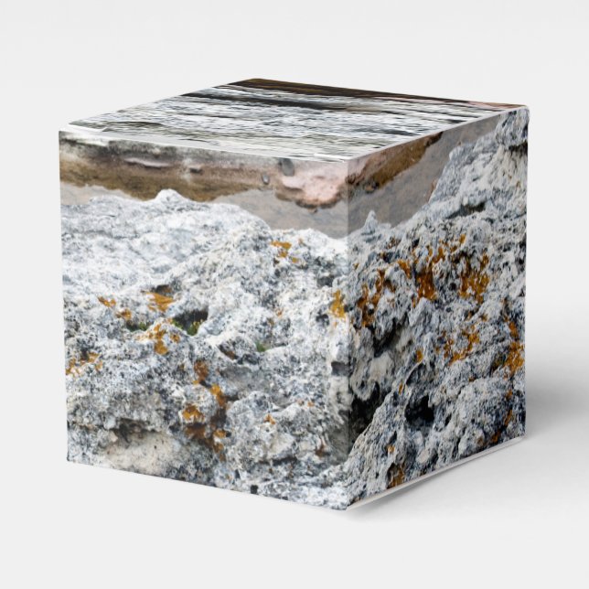Caja Para Regalos Patrón de roca marina (Costado Anverso)