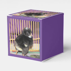 Caja Para Regalos Peep