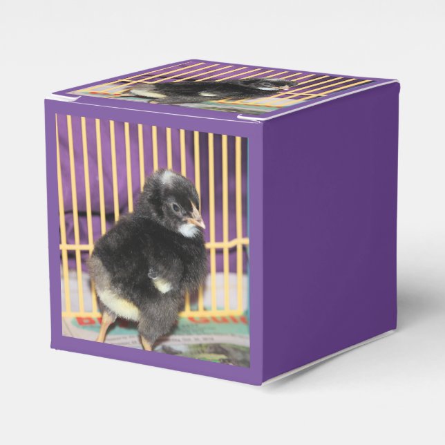 Caja Para Regalos Peep (Costado Anverso)