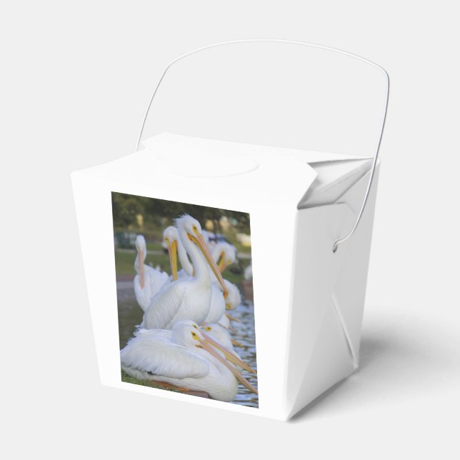 Caja Para Regalos Pelican Pile Favor Box (Front Side)