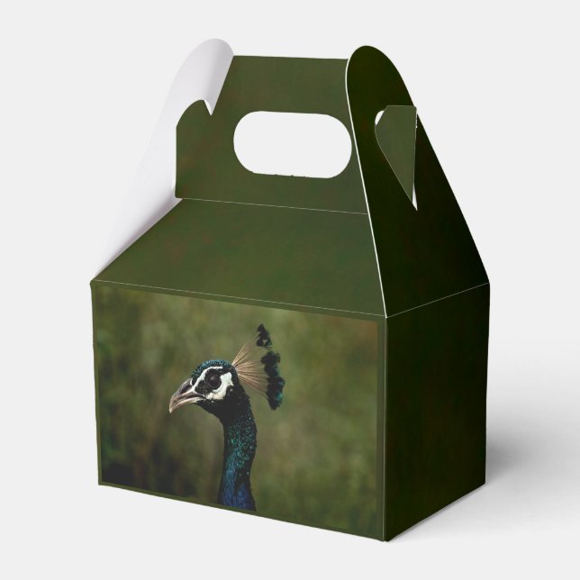 Caja Para Regalos Perfil de pavo real  (Front Side)