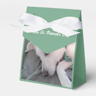 Caja Para Regalos Perro blanco perezoso y lindo con bufanda verde