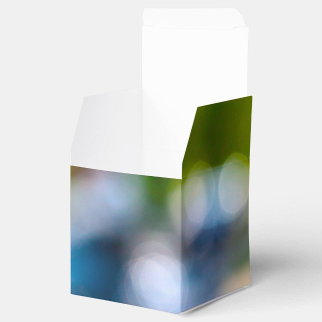 Caja Para Regalos piloto clásico (Abierto)