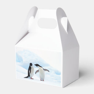 Caja Para Regalos Pingüinos Adelie