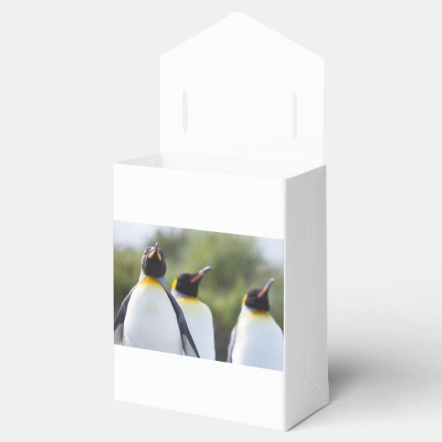 Caja Para Regalos Pingüinos de rey (Abierto)
