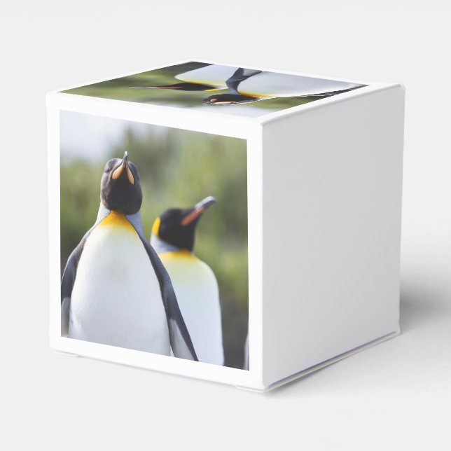 Caja Para Regalos Pingüinos de rey (Reverso Costado)