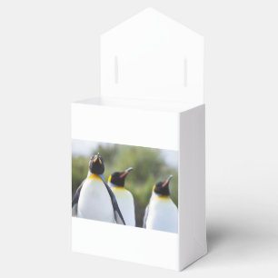 Caja Para Regalos Pingüinos del rey