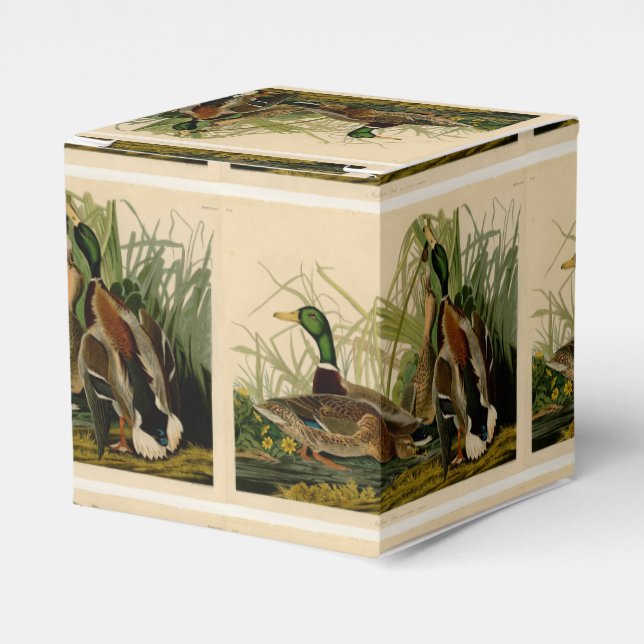 Caja Para Regalos Pintura de pájaro de Mallard Duck Audubon (Costado Anverso)
