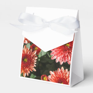 Caja Para Regalos Planta de crisantemo en una lápida