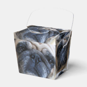 Caja Para Regalos Ponte bien pronto perro de pug enfermo