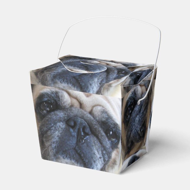 Caja Para Regalos Ponte bien pronto perro de pug enfermo (Front Side)