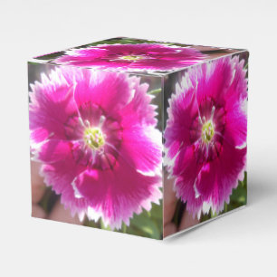 Caja Para Regalos Promesa