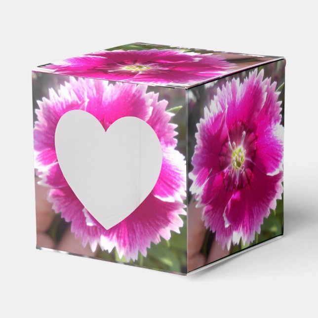Caja Para Regalos Promesa (Anverso)
