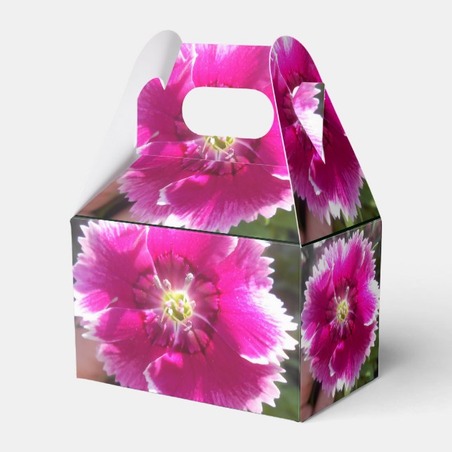 Caja Para Regalos Promesa (Reverso)