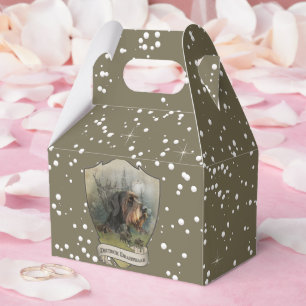 Caja Para Regalos Puntero inalámbrico alemán