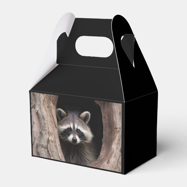 Caja Para Regalos Racoon en la cueva del árbol (Front Side)