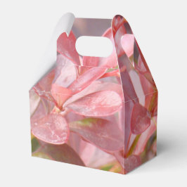 Caja Para Regalos Ramas Rosadas Lindas
