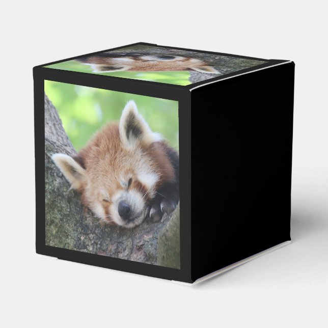 Caja Para Regalos RedPanda20150705.jpg (Reverso Costado)