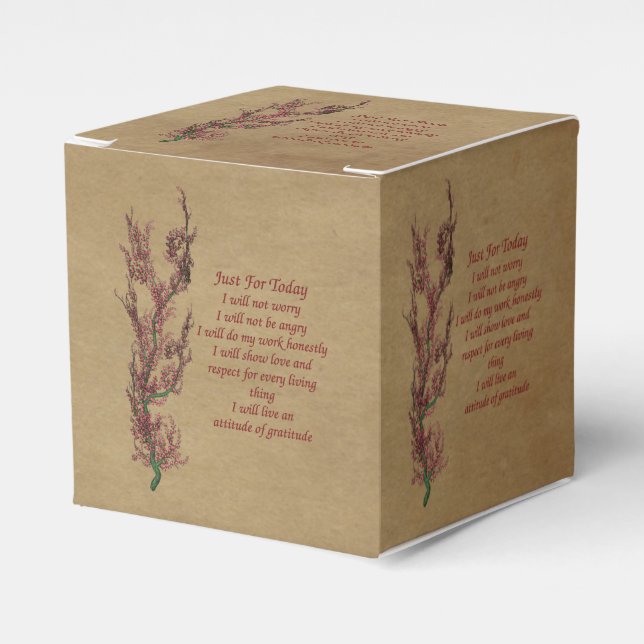 Caja Para Regalos Reiki inspirador solo por hoy (Costado Anverso)