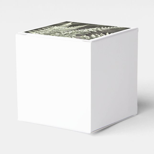 Caja Para Regalos Resumen artístico de fern (Costado Anverso)