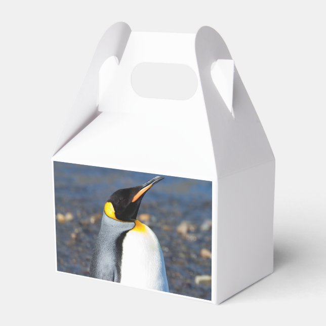 Caja Para Regalos Retrato pingüino (Reverso)