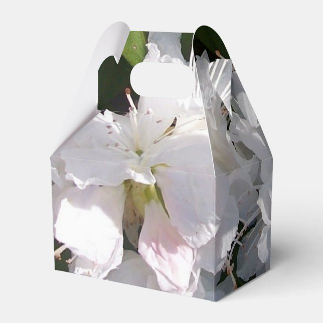 Caja Para Regalos Rhododendros (Reverso)