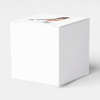 Caja Para Regalos Robin Bird en Gorra