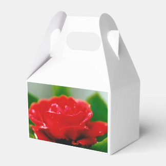 Caja Para Regalos Rosa Roja de la pasión cubierta de rocío