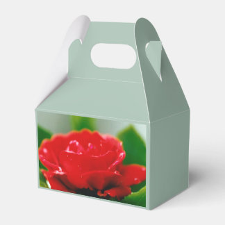 Caja Para Regalos Rosa roja de pasión cubierta de gotas de rocío