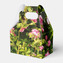 Rosas rosas rosas en flor