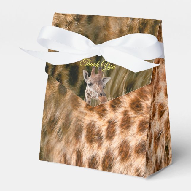 Caja Para Regalos Safari al aire libre (Front Side)