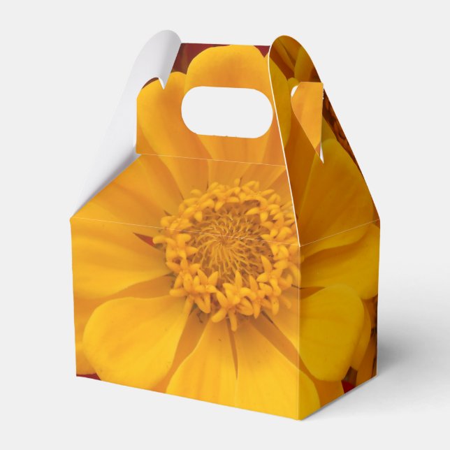 Caja Para Regalos Sartain (Front Side)