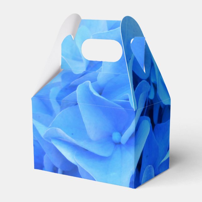 Caja Para Regalos Seraphine (Reverso)