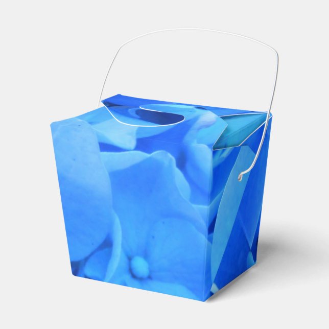 Caja Para Regalos Seraphine (Front Side)