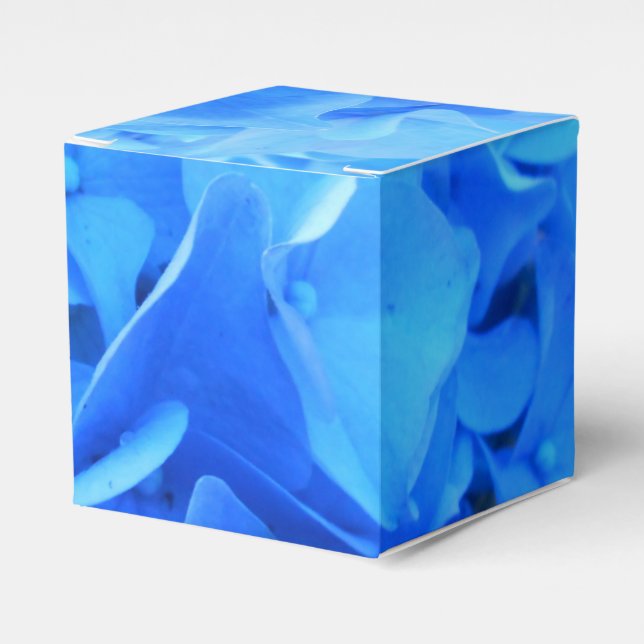 Caja Para Regalos Seraphine (Costado Anverso)
